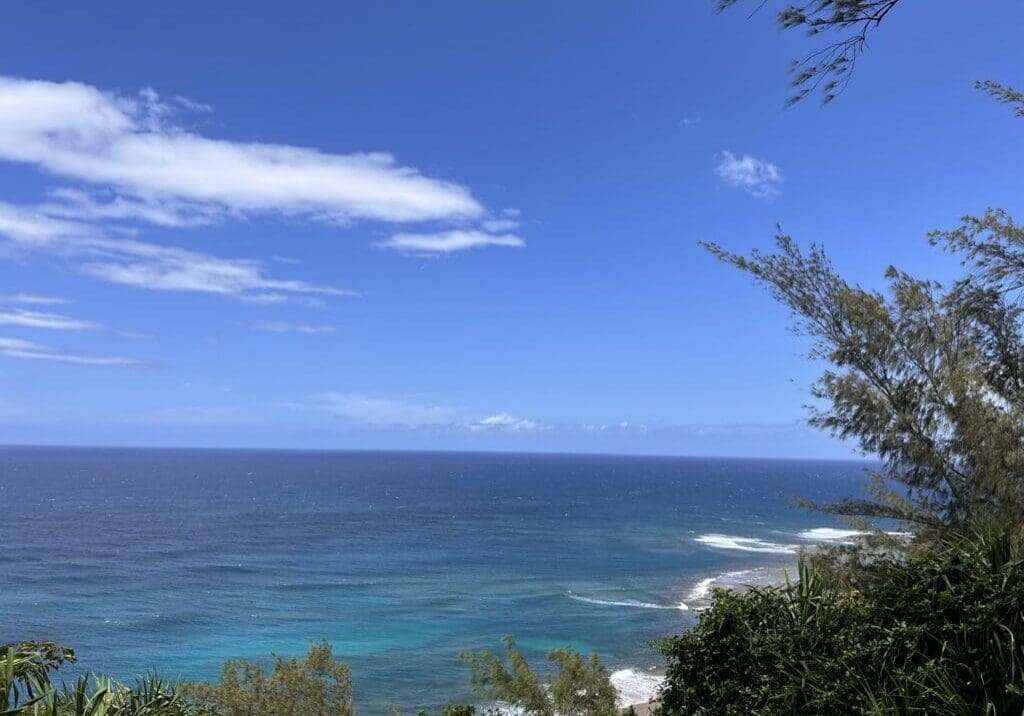 Panoramic view of the Pacific Ocean from the Kalalau Trail on Kauai's North Shore, with turquoise water over the reef fading to deep blue, framed by tropical vegetation and ironwood trees